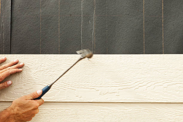 Best Insulated Siding Installation  in Ocala, FL
