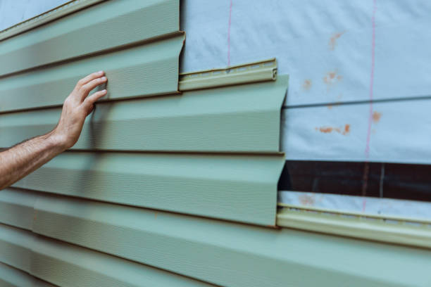 Best Custom Trim and Detailing for Siding  in Ocala, FL